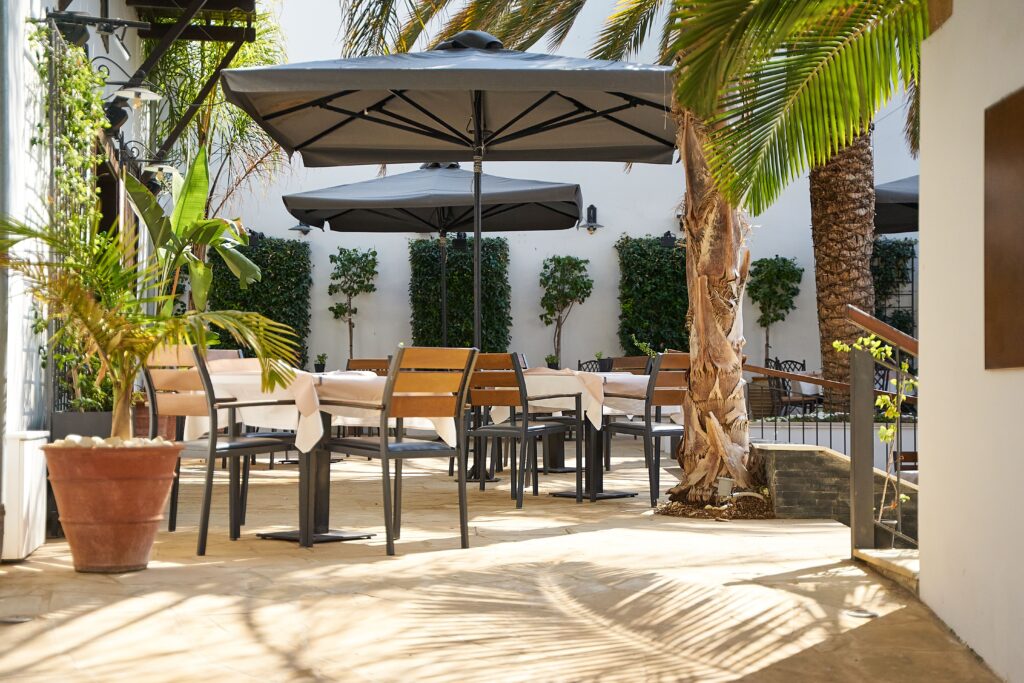 Sunny outdoor restaurant patio with tables, chairs, and palm trees, creating a relaxing dining ambiance.